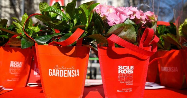 Uil Abruzzo sostiene la campagna dell’Aism per la ricerca sulla sclerosi multipla