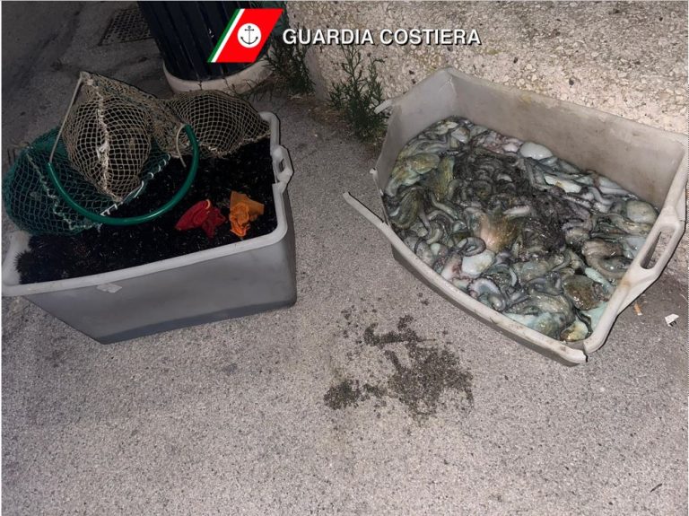 Sanzionati con 2 mila euro pescatori di frodo a caccia di ricci e polpi