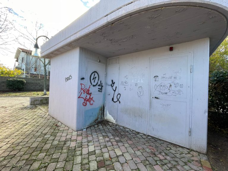 Vandali di nuovo in azione al Parco Bucciante a Fossacesia. Danneggiato il bagno dei disabili