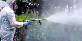 Questa notte la disinfestazione straordinaria della Ecolan