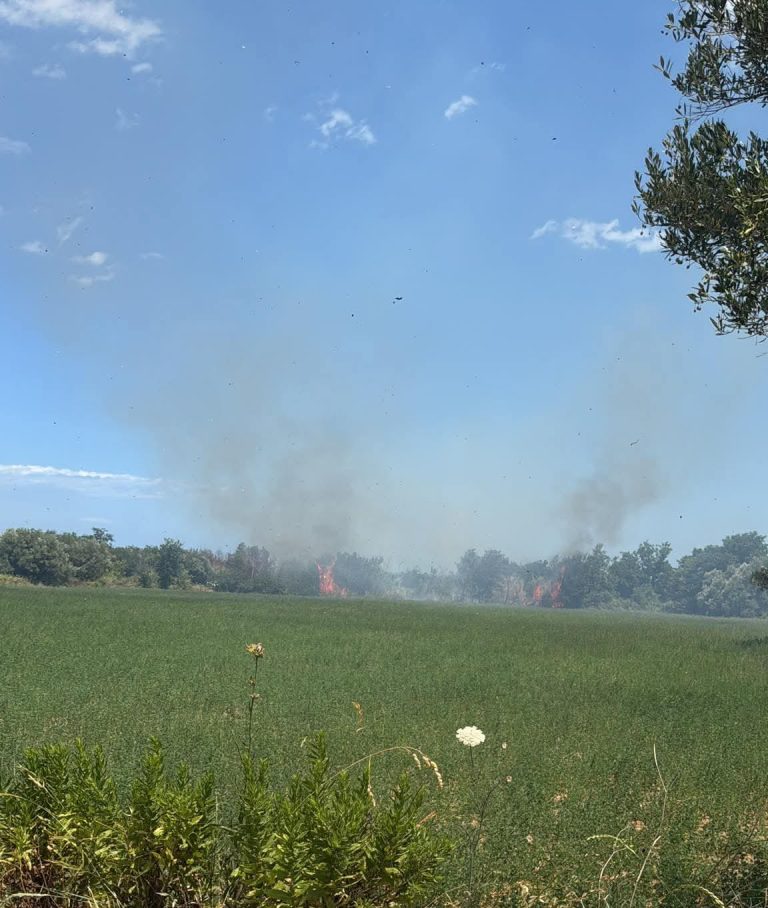 incendio ripari di giobbe