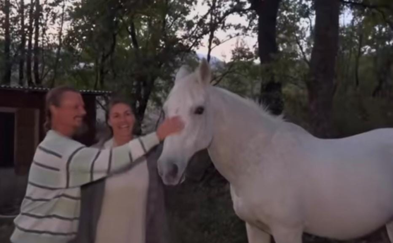 Famiglia australiana: i figli restano con la madre nella struttura protetta di Vasto