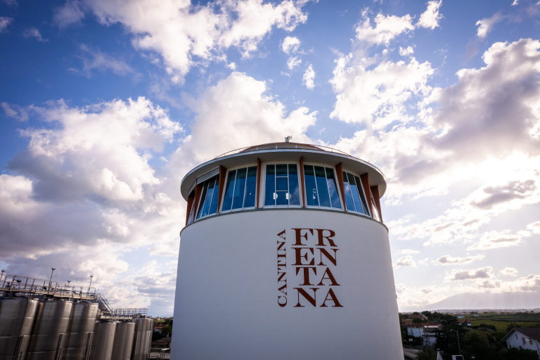 Cantina Frentana chiude un 2025 in crescita e punta su zonazione e sostenibilità