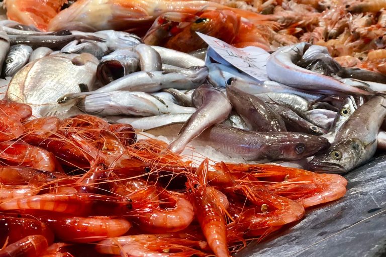 Nuova asta elettronica per il mercato ittico di Ortona: finanziamento da 952 mila euro